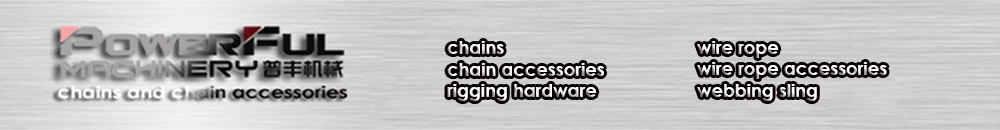 Galvanized G70 Transport Truck Binder Chain with Hooks